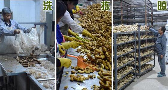 不用硫磺如何清洗生姜？